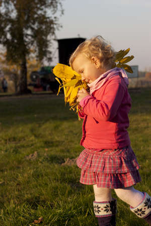 A little girl in a pink dress in autumn sceneryの写真素材