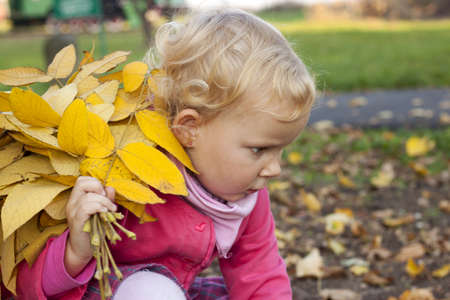 Small girl with yellow leaves in autumnの写真素材