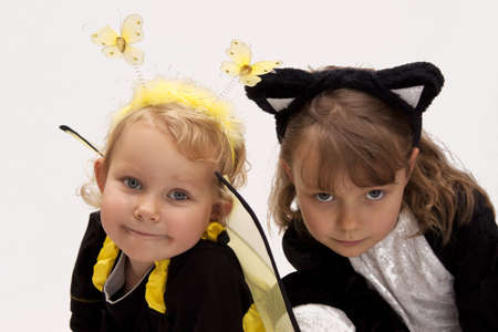Girl dressed as a bee and cat on a white backgroundの写真素材