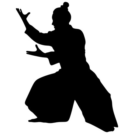 Aikido Samuraiのイラスト素材 ストックフォト 写真素材のstock Foto ストックドットフォト
