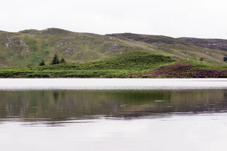 the lagoonの写真素材