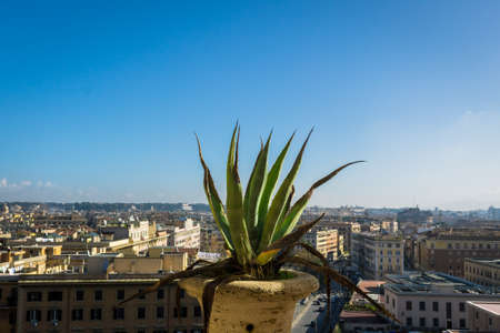 View of the blue roman sky and city through a window with a plant in the first planeの写真素材