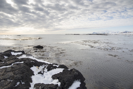 Ytri tunga seal reserve in Iceland Snaefellsnes peninsuleの写真素材