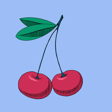 Couple of cherryのイラスト素材