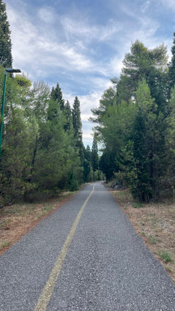 Road in the forest, going into the distance.の写真素材