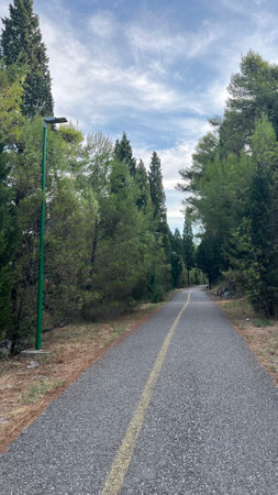 Road in the forest, going into the distance.の写真素材