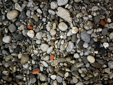 Texture of wet stone in evening contrasting light.の写真素材