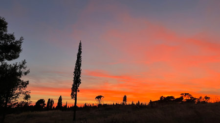Orange sunset in Podgoricaの写真素材