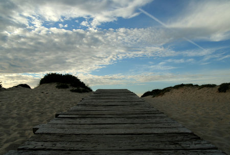 path