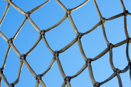basketball net
