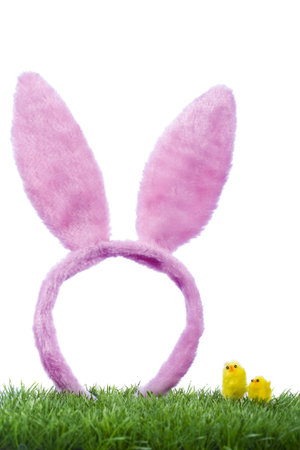 funny rabbit ears and chick on grass