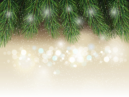 Christmas background lightly white fir tree background.のイラスト素材