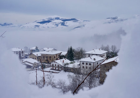 Landscape snowed and with frog
