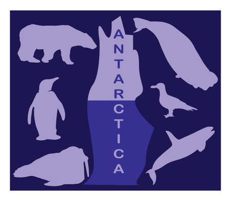 Animal silhouettes - Antarcticaのイラスト素材
