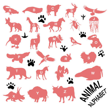 Animals silhouettes ALPHABET - FAUNAのイラスト素材