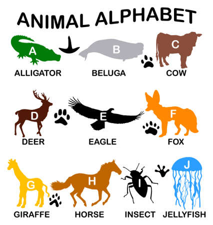 Animal alphabet - letters from A to Jのイラスト素材