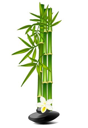 Letter I made of bamboo treeのイラスト素材