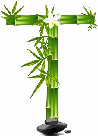 Letter T made of bamboo treeのイラスト素材