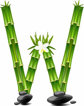 Letter W made of bamboo treeのイラスト素材