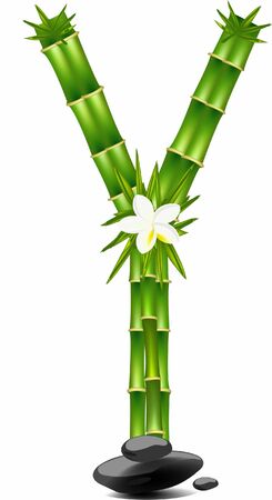 Letter Y made of bamboo treeのイラスト素材