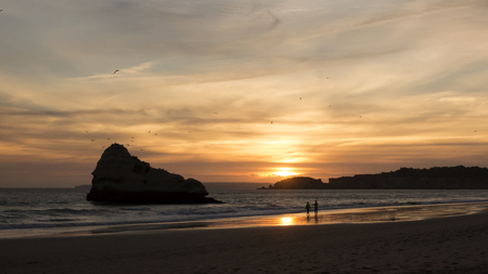 Couple walking in desert beach at sunset, with seagulls flying in skyの写真素材