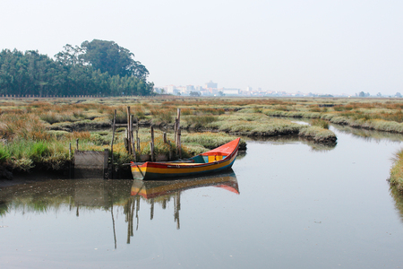 Aveiro Lagoon during the day, with colorful small boat docked close to the shore. Still water with reflections.の写真素材