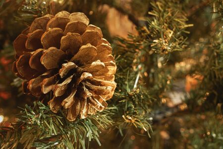 Macro of golden pinecone in artificial Christmas tree, with blurry background and copy space.の写真素材