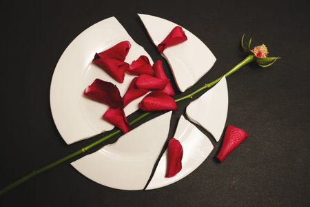 Rose stem laying across a broken white plate with petals randomly scattered. Domestic violence and...