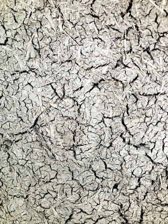 Gray adobe wall の素材