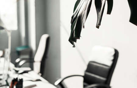 Modern office interior. Blur focusの写真素材