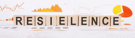 On a light background, graphs, diagrams and wooden cubes with the word RESILIENCE.の写真素材
