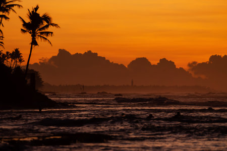A closeup shot of silhouettes of palm trees near the sea at sunsetの写真素材