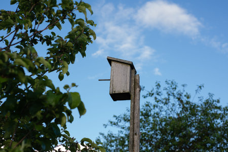 Birdhouse Constructed on Post Surrounded by Lush Green Trees Under Clear Blue Sky