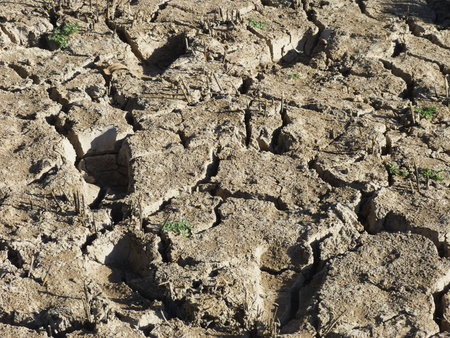 Dry creek bed with foot prints