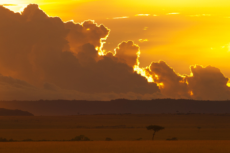 Masai Mara National Reserve at sunsetの写真素材