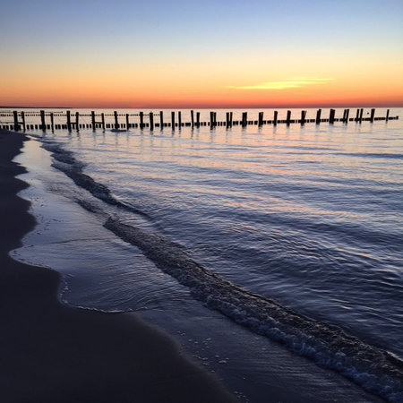 Coastline of the Baltic Sea with groynes at sunset