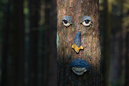 Tree trunk decorated with a face
