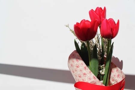 tulips flower の写真素材