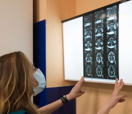 Healthcare personnel observing an x-rayの写真素材