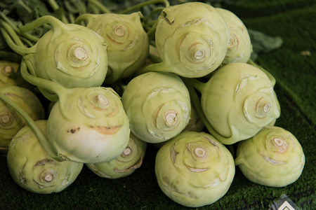 Cabbage turnipsの写真素材