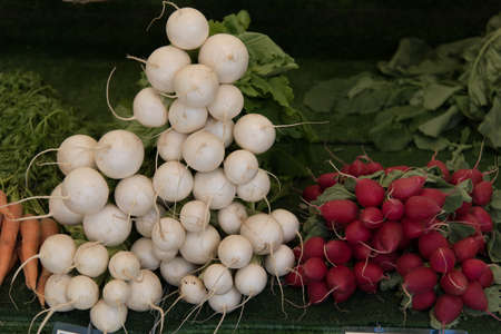 Root veggiesの写真素材