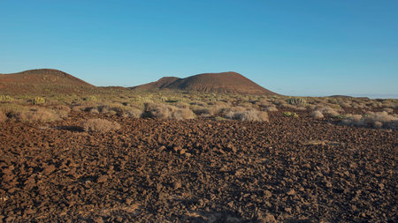 Arid volcanic landscape of Malpais de la Rasca, a natural reserve close to Palm-Mar town, inland...