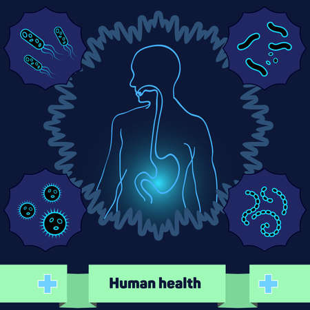 The human body without dangerous bacteria and microorganismsのイラスト素材