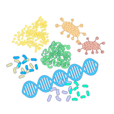 The diverse structure of protein molecules, schematically simplified. Elements for illustrations and info graphics. In vector on white background.のイラスト素材