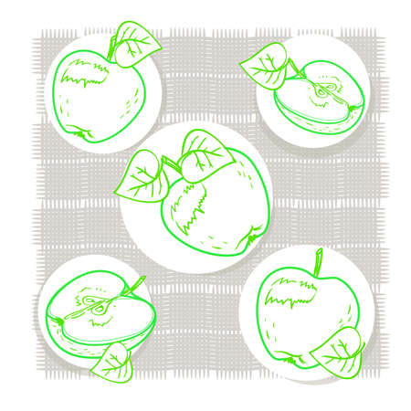 Ripe apples and Apple half, illustration in .  delicious, realistic, and organic apples for design and execution. watercolor retro art set. Green diet.のイラスト素材