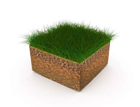 The ground or soil in an isometric sectional view - shows the growth of lawn grassの写真素材