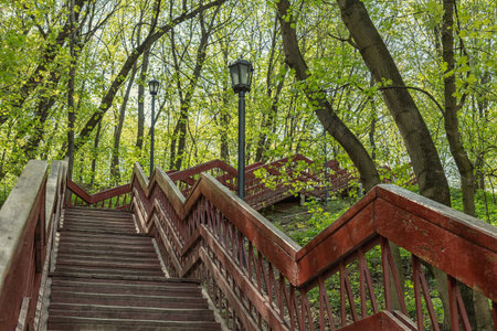 Outdoor wooden stairway in a Moscow city park.の写真素材