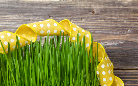 Green grass with yellow ribbon on rustic wooden background