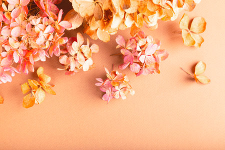 Dried flowers of hydrangea on brown paper. Floral background. Flat lay, top view.