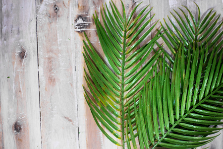 Palm Leaves Decorationの写真素材